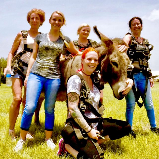 A group of female tandem skydiving students pet a donkey at Texas Skydiving near Austin, TX